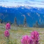 From Seattle: Olympic National Park Full Day Tour - The Itinerary: What Can You Expect?
