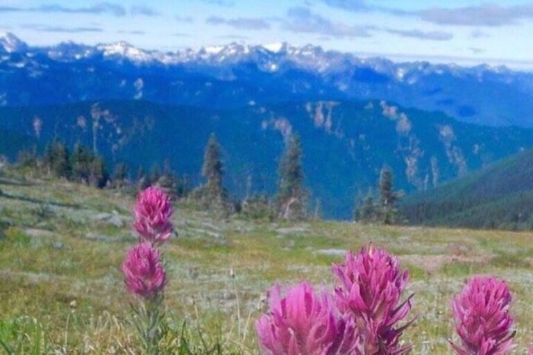 From Seattle: Olympic National Park Full Day Tour - The Itinerary: What Can You Expect?