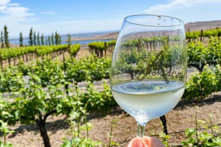 From Seattle - Wine Tasting, Vineyards in Eastern WA - Exploring the Washington Wine Country from Seattle