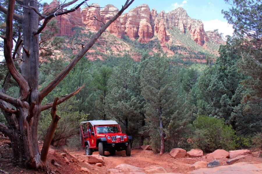 From Sedona: Red Rock West Private Jeep Tour - Price, Value, and Practical Details