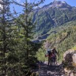 From Seward: 6-hour Wilderness Hiking Tour - The Experience in Detail: From Logistics to Scenery