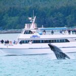 From Seward: Half-Day Resurrection Bay Wildlife Cruise Tour - Who Is This Tour Best For?