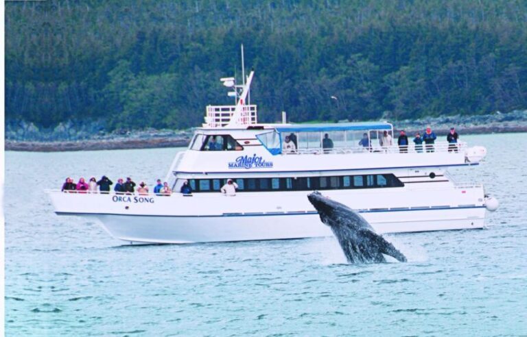 From Seward: Half-Day Resurrection Bay Wildlife Cruise Tour - Who Is This Tour Best For?