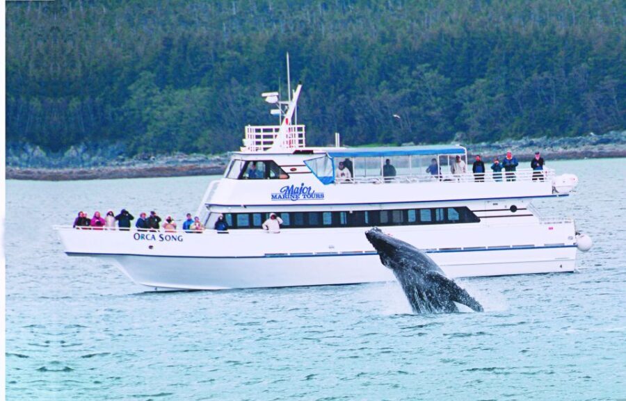 From Seward: Half-Day Resurrection Bay Wildlife Cruise Tour - Who Is This Tour Best For?