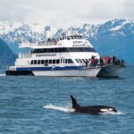 From Seward: Kenai Fjords National Park Cruise with Lunch - Real Traveler Insights