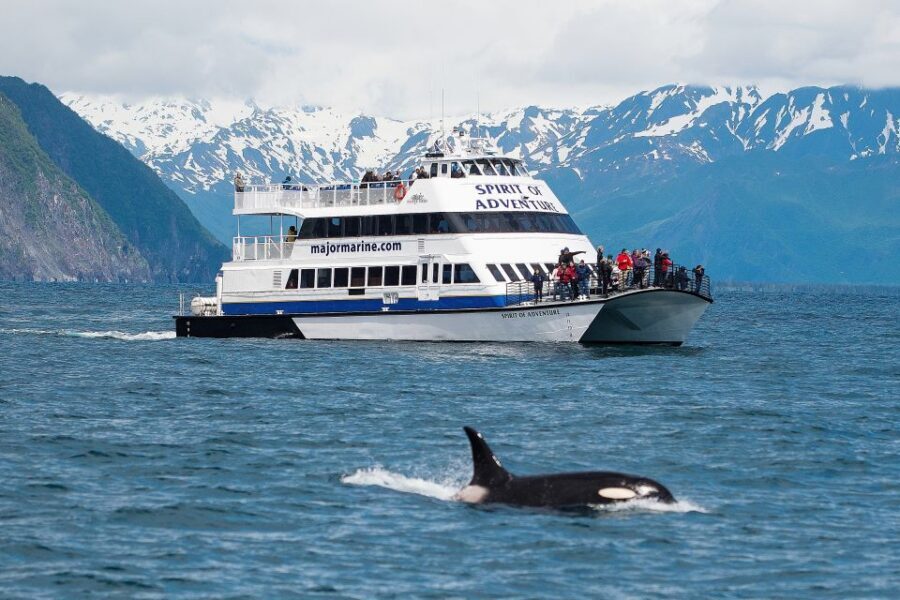 From Seward: Kenai Fjords National Park Cruise with Lunch - Real Traveler Insights