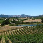 From SF : -8hr- Private Wine Tour & Custom Concierge.XL SUV - What’s Included and Whats Not