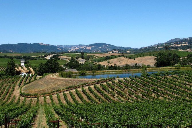 From SF : -8hr- Private Wine Tour & Custom Concierge.XL SUV - What’s Included and Whats Not