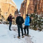 From Springdale: 4-hour Zion Canyon Scenic Hiking Tour - What This Tour Offers and Why It Matters