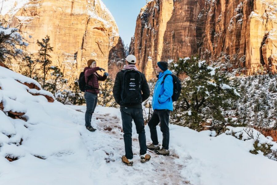From Springdale: 4-hour Zion Canyon Scenic Hiking Tour - What This Tour Offers and Why It Matters