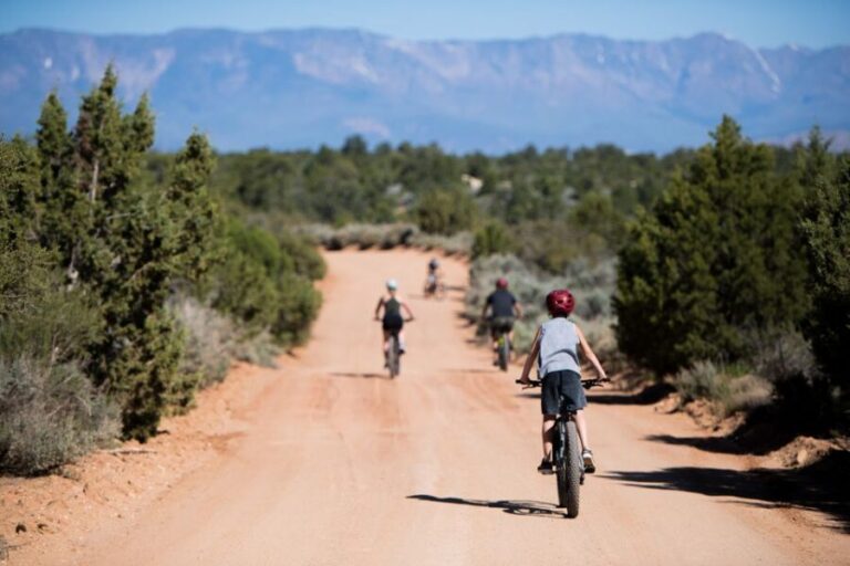 From Springdale: Zion National Park Bike Tour - Is It Worth the Price?