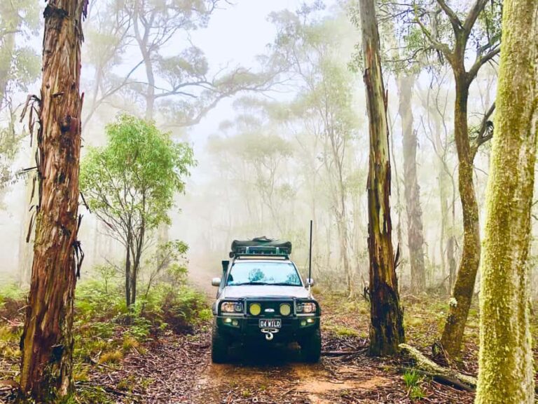 From Sydney: 2-Day Blue Mountains Camping 4WD & River Cruise - The Practical Details