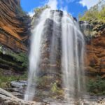 From Sydney: Blue Mountains Tour with Waterfall Walk & Lunch - The Experience Through the Lens of Reviewers
