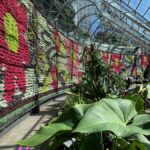 From Sydney: Full Day Tour of Golden Beaches and Ocean Vista - What’s the Real Value?