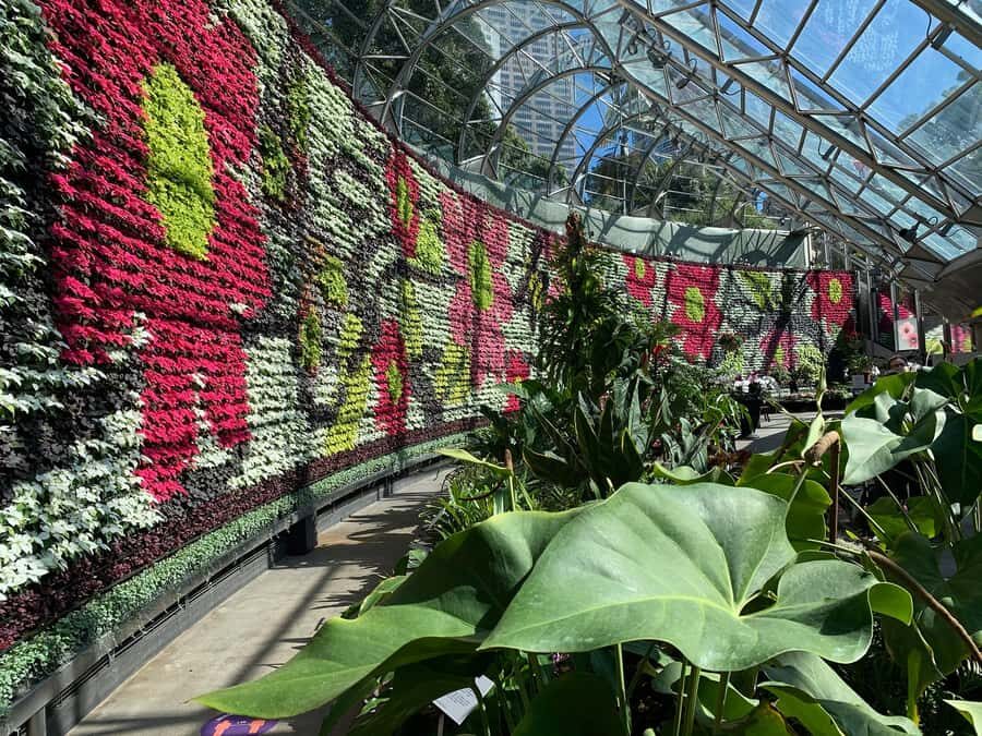 From Sydney: Full Day Tour of Golden Beaches and Ocean Vista - What’s the Real Value?