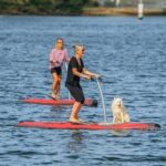 From Sydney: Full Day Tour of Golden Beaches and Ocean Vistas - What We Think About the Value