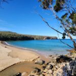 From Sydney: Royal National Park, Wollongong, and Kiama Tour - What the Tour Offers: A Deep Dive