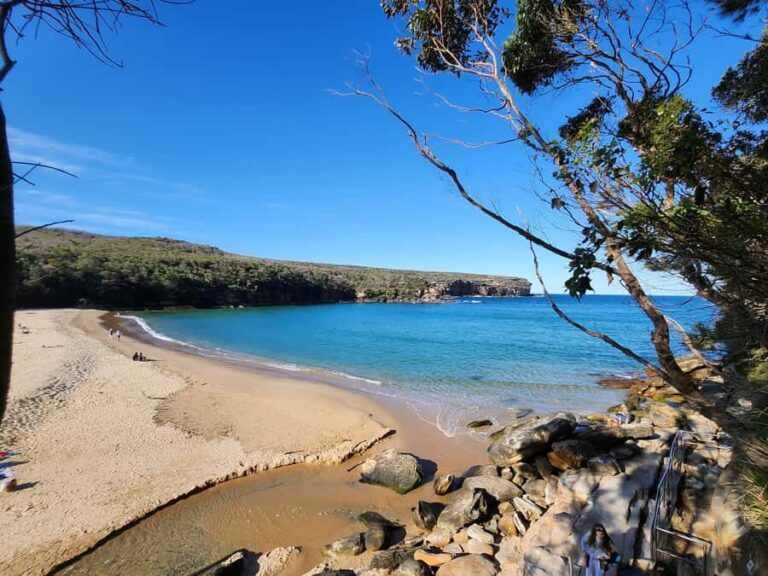 From Sydney: Royal National Park, Wollongong, and Kiama Tour - What the Tour Offers: A Deep Dive