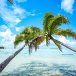 From Tahiti: Tetiaroa Island Tour by Sailing Catamaran - The Practical Details