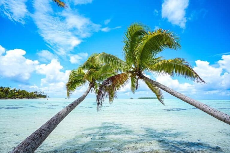 From Tahiti: Tetiaroa Island Tour by Sailing Catamaran - The Practical Details