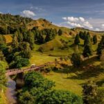 From Taumarunui: The Republic Rail Cart Adventure - The Itinerary: What Makes It Worthwhile