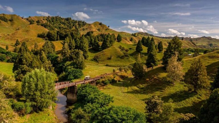 From Taumarunui: The Republic Rail Cart Adventure - The Itinerary: What Makes It Worthwhile