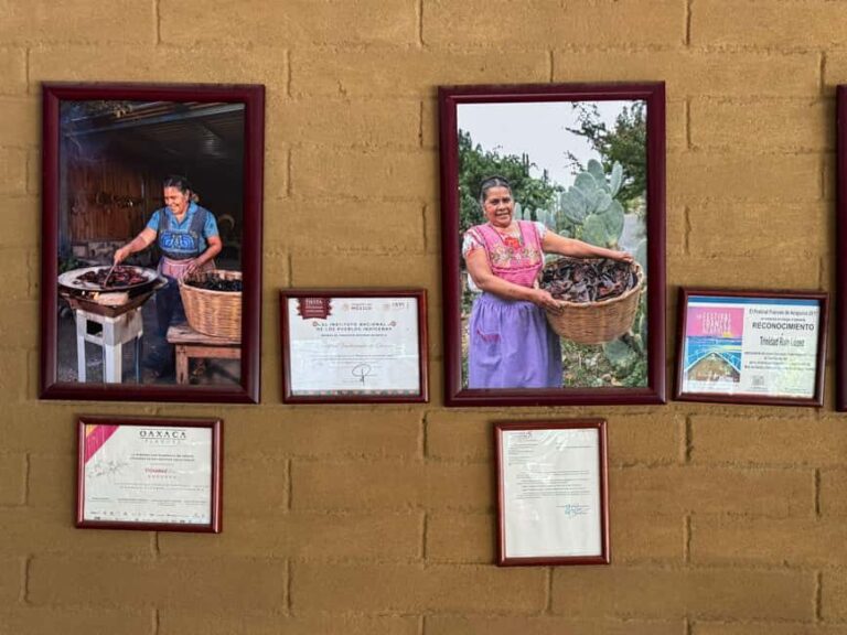 From Teotitlán del Valle - Traditional Cooking Class - What the Reviews Say