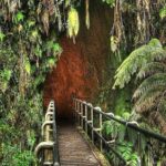 From the Big Island: Hawaii Volcanoes National Park Tour - The Bottom Line: Is This Tour Worth It?