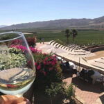 From Tijuana: Valle de Guadalupe Private Winery Tour - What the Reviews Say
