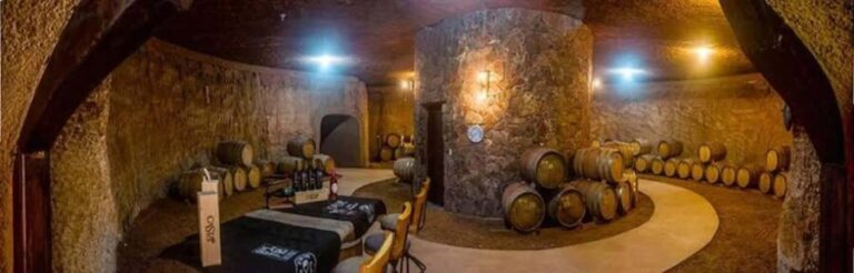 From Tijuana: Valle de Guadalupe Shared Winery Tour - What’s the Value of This Tour?