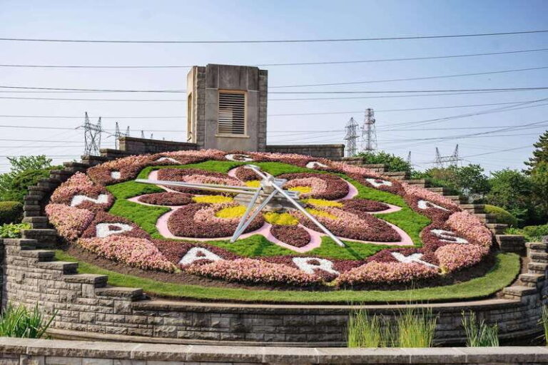 From Toronto: Niagara Falls Guided Day Tour with Boat Cruise - What’s the Experience Really Like?