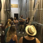 From Toronto: Niagara Wine Tours - The Wine & Food Experience