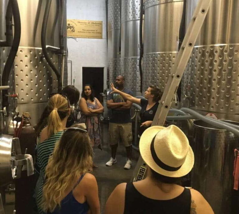 From Toronto: Niagara Wine Tours - The Wine & Food Experience