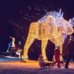 From Toronto: Winter Festival of Lights Niagara Falls Tour - Key Points