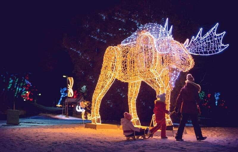 From Toronto: Winter Festival of Lights Niagara Falls Tour - Key Points