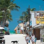 From Tulum: Holbox Island Full-Day Trip with Lunch - The Experience and Guides