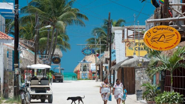 From Tulum: Holbox Island Full-Day Trip with Lunch - The Experience and Guides