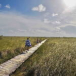 From Tulum: Sian KaAn Muyil Lagoon Tour - The Downsides to Consider