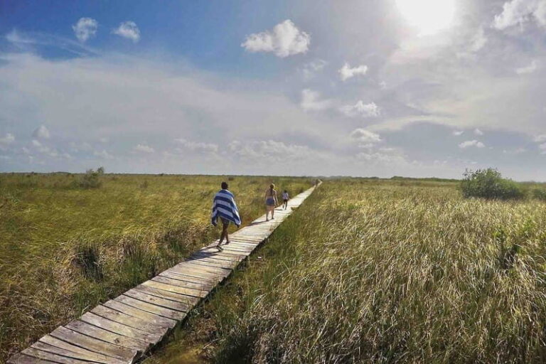 From Tulum: Sian KaAn Muyil Lagoon Tour - The Downsides to Consider