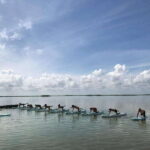 From Tulum: SUP Yoga Class in Sian Ka'an - The Setting: Laguna Nopalitos and Sian Kaan