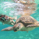 From Tulum: Tulum, Cenote and Turtle Swim Tour at Akumal - Whats Included & Whats Not