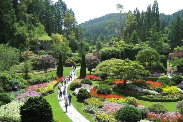 From Vancouver: Private Victoria Full Day Tour - Why the Ferry Ride Matters