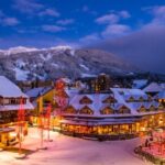 From Vancouver: Whistler and Shannon Falls Private Day Trip - An In-Depth Look at the Experience