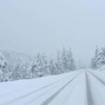 From Vegas: Ultimate Snowplay Adventure at Mount Charleston - Arriving at Mount Charleston and the Snow Activities