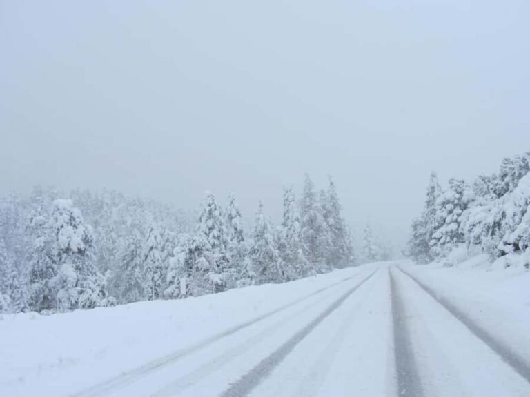 From Vegas: Ultimate Snowplay Adventure at Mount Charleston - Arriving at Mount Charleston and the Snow Activities