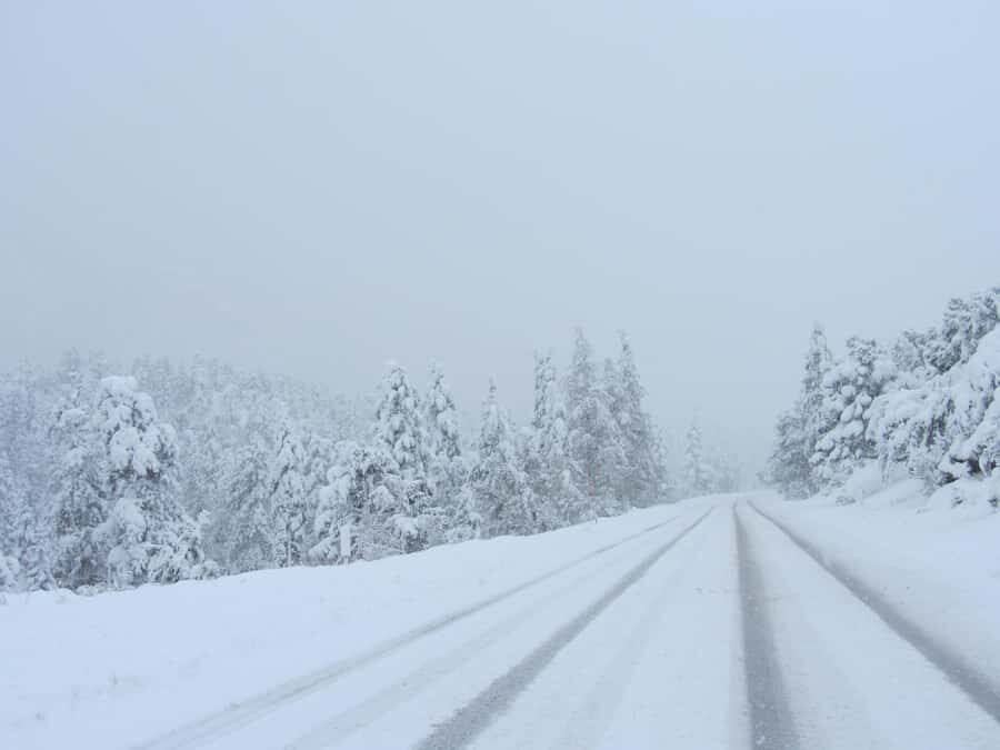 From Vegas: Ultimate Snowplay Adventure at Mount Charleston - Arriving at Mount Charleston and the Snow Activities