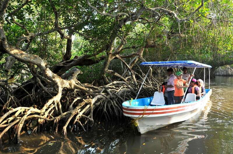 From Veracruz: Nature & Seafood Boat Tour to Madinga - What Our Reviewers Say