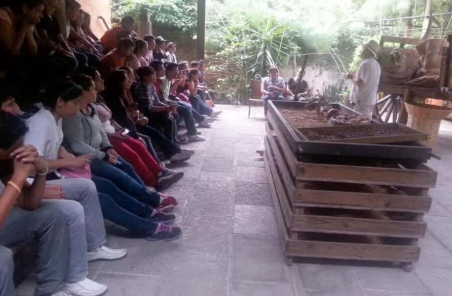 From Veracruz: Xalapa & Coatepec Day Trip - Authentic Feedback from Travelers