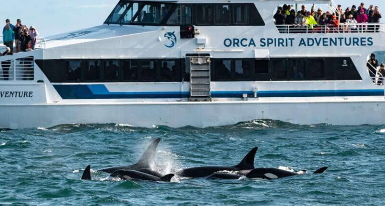 From Victoria: Whale Watching Trip on Covered Boat - The Real Experience: What Reviewers Say