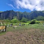 From Waikiki: Oahu Circle Island Tour - Learning and Photos